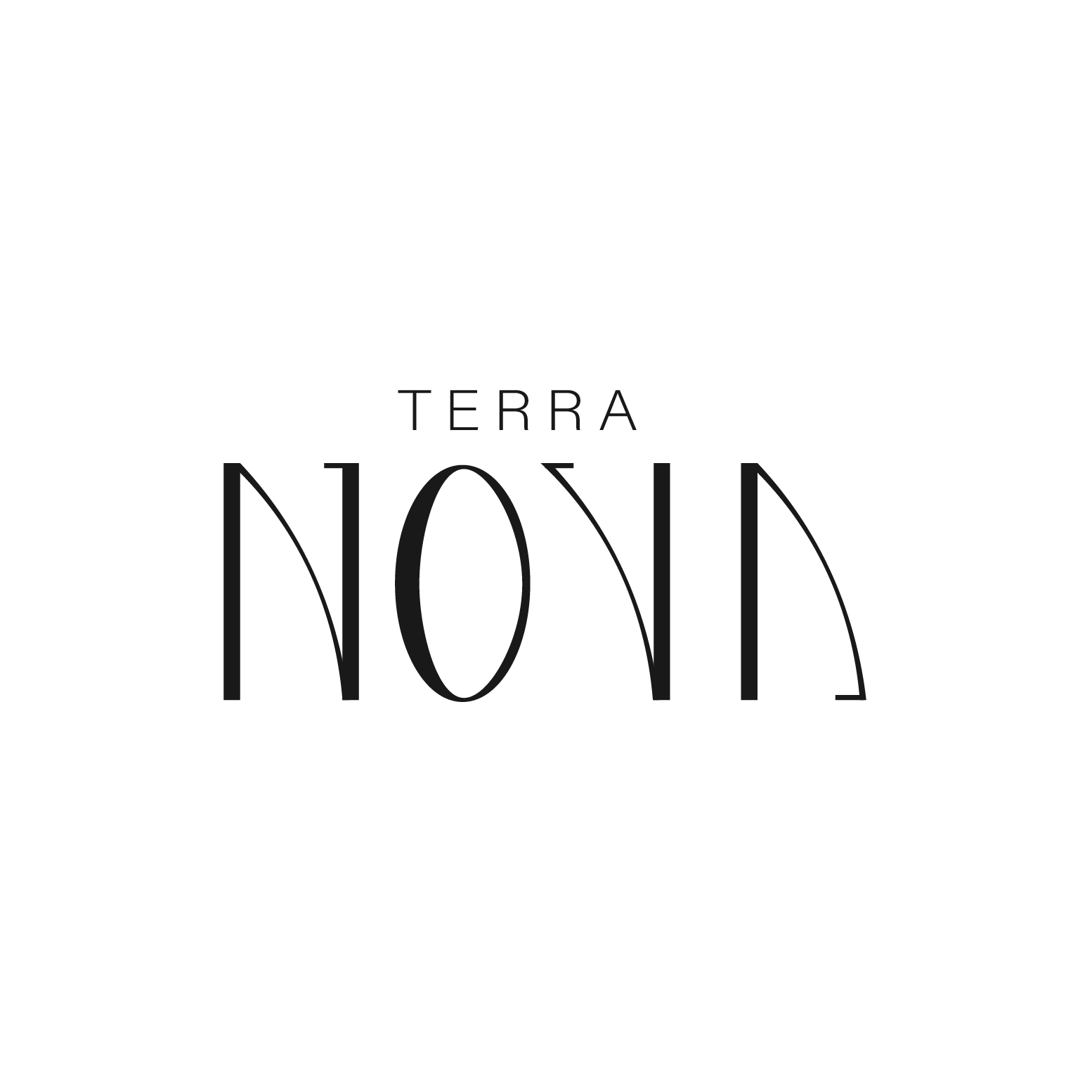 Logo final TerraNova